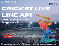 Cricket Live Line API Development Company
