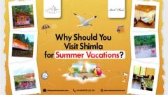 Why Should You Visit Shimla for Summer Vacations
