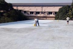 Looking for Corporate Waterproofing Contractor Odisha