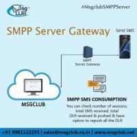 Best Bulk SMS Gateway in India