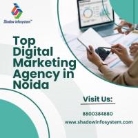 Top Digital Marketing Agency in Noida