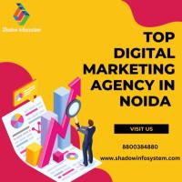 Top Digital Marketing Agency in Noida
