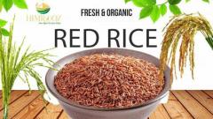 Red Rice Red Rice Red Rice