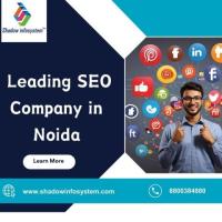 Leading SEO Company in Noida