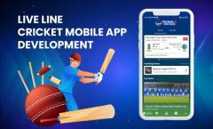 Live Line Cricket Score App Development Company - Technoloader