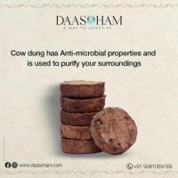 cow dung sale online