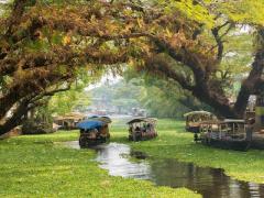 Enchanting Kerala: Dive into Nature's Paradise with Our Exclusive Tour Package