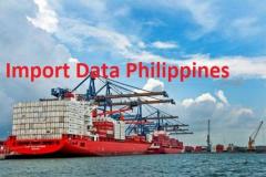 Import Data Philippines: Find out Buyers and Suppliers in the Philippines