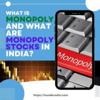 Top 10 Best Monopoly Stocks in India