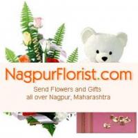 Exclusive Flower Shop in Nagpur with Amazing Assortment of Floral Gifts at Cheap Price