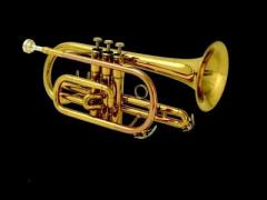 Buy Branded Musical Instruments Online - Kalyani Musicals